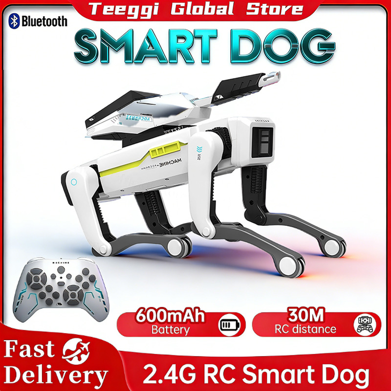 Kids Education Free App - Teeggi Programmable Smart RC AI Robot