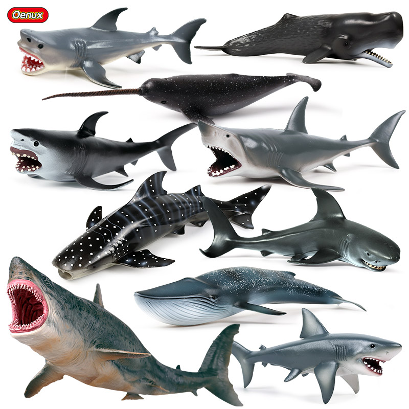 Kids Without Education - Oenux Sea Life Savage Megalodon Big