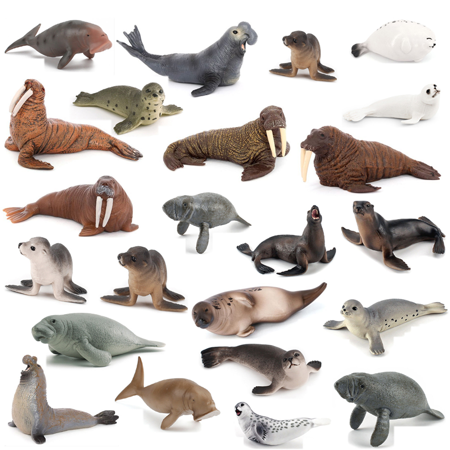 Realistic Dugong Manatee Walru - Kids Education Things review and price