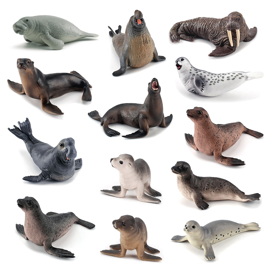 Realistic Dugong Manatee Walru - Kids Education Things review and price
