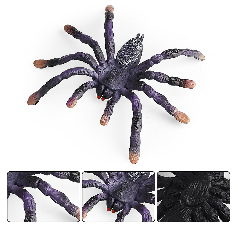 Oenux Insect Animals Model Spi - Kids Without Education review and price
