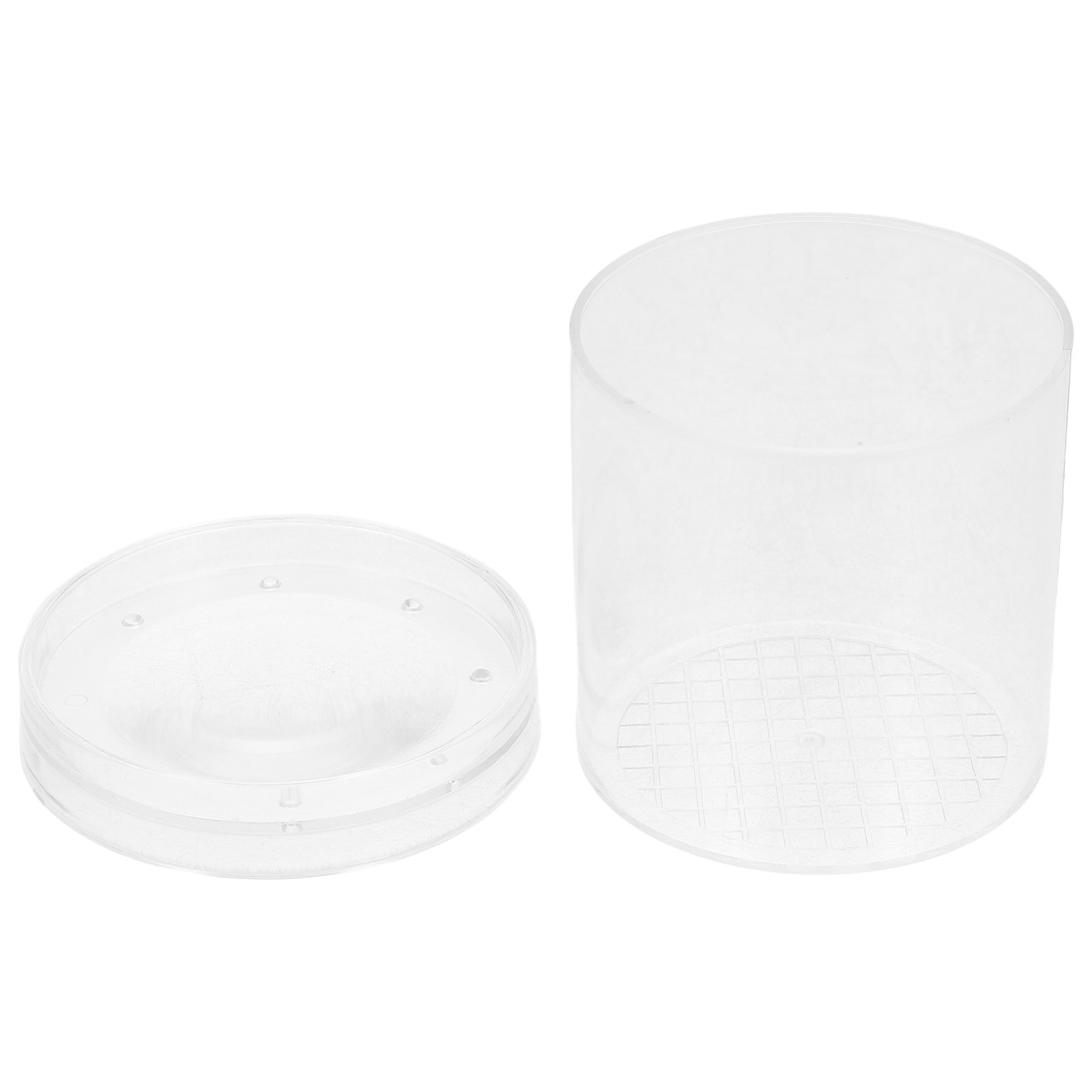 3X Magnifying Insect Observati - Kids Education Tools review and price