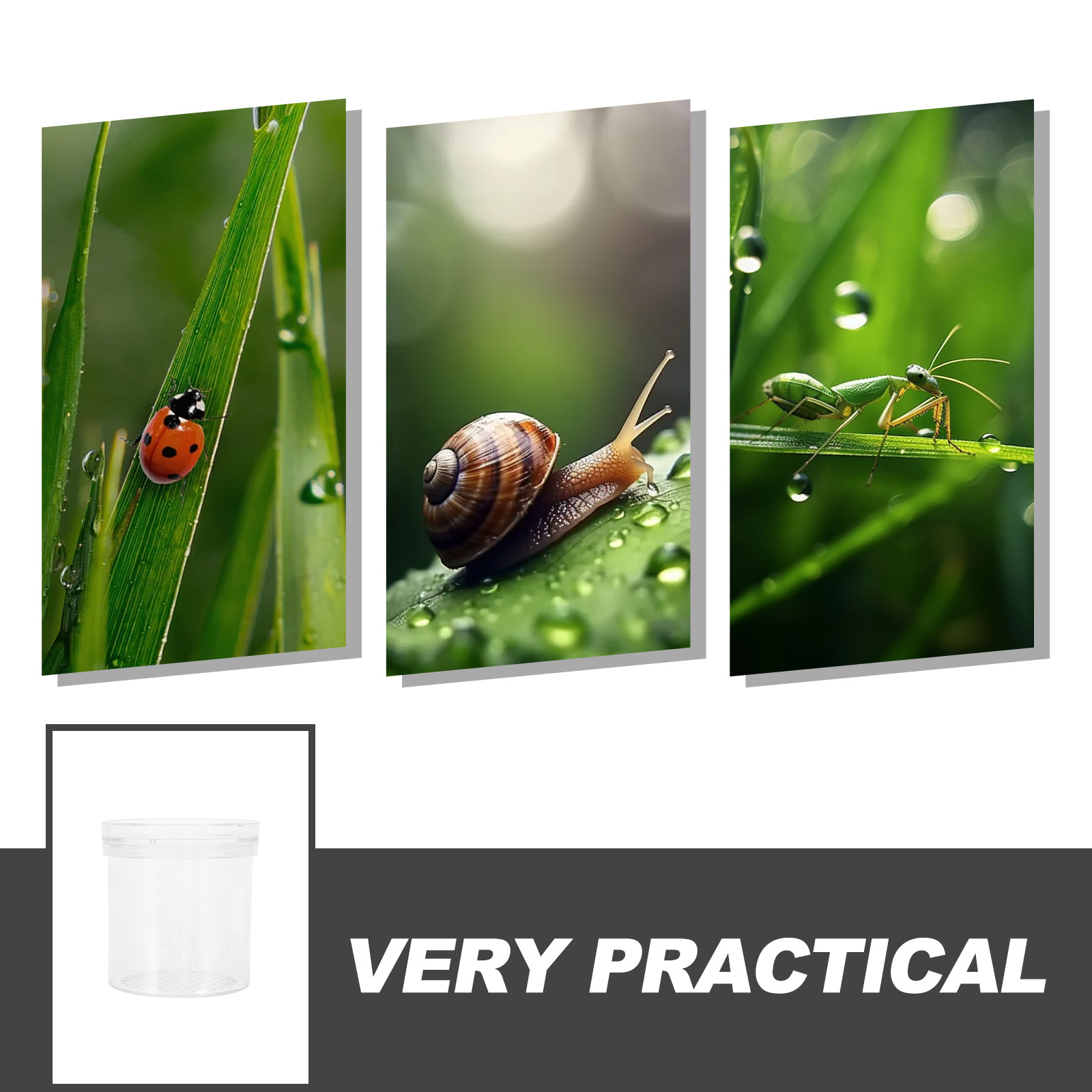 3X Magnifying Insect Observati - Kids Education Tools review and price