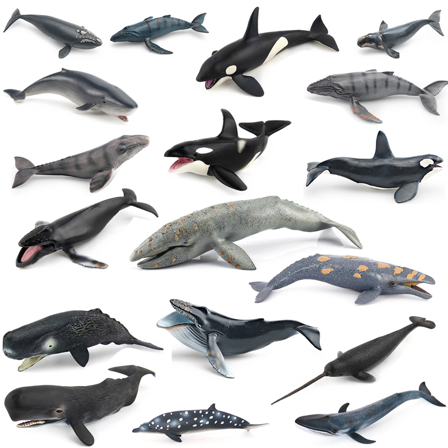 Realistic Humpback Whale Sperm - Kids Education Things review and price