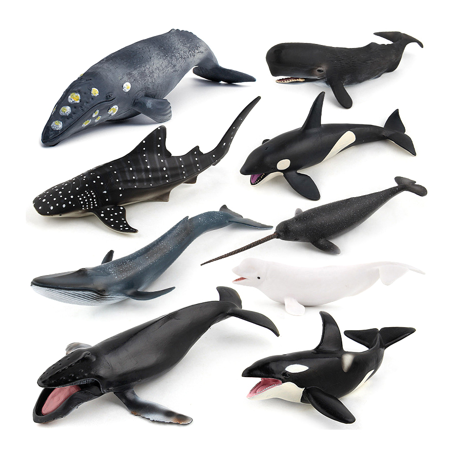 Realistic Humpback Whale Sperm - Kids Education Things review and price