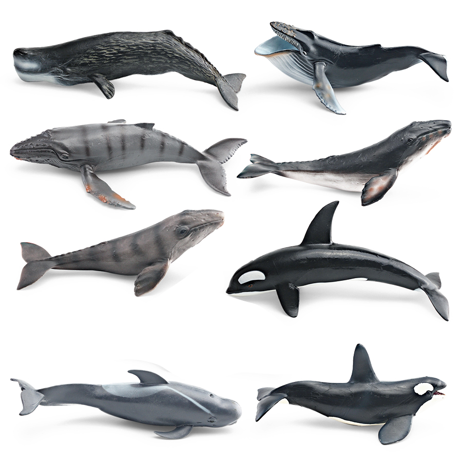 Realistic Humpback Whale Sperm - Kids Education Things review and price
