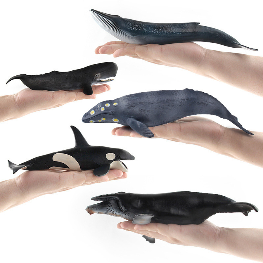 Realistic Humpback Whale Sperm - Kids Education Things review and price