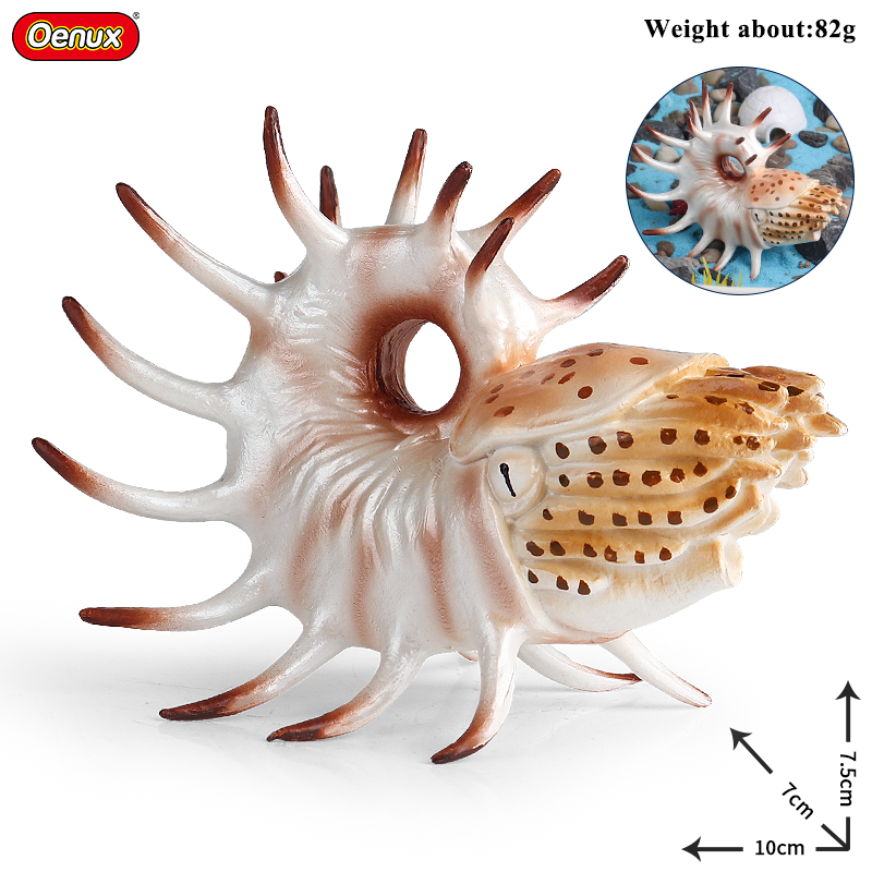Oenux Sea Life Animals Coral O - Kids Without Education review and price