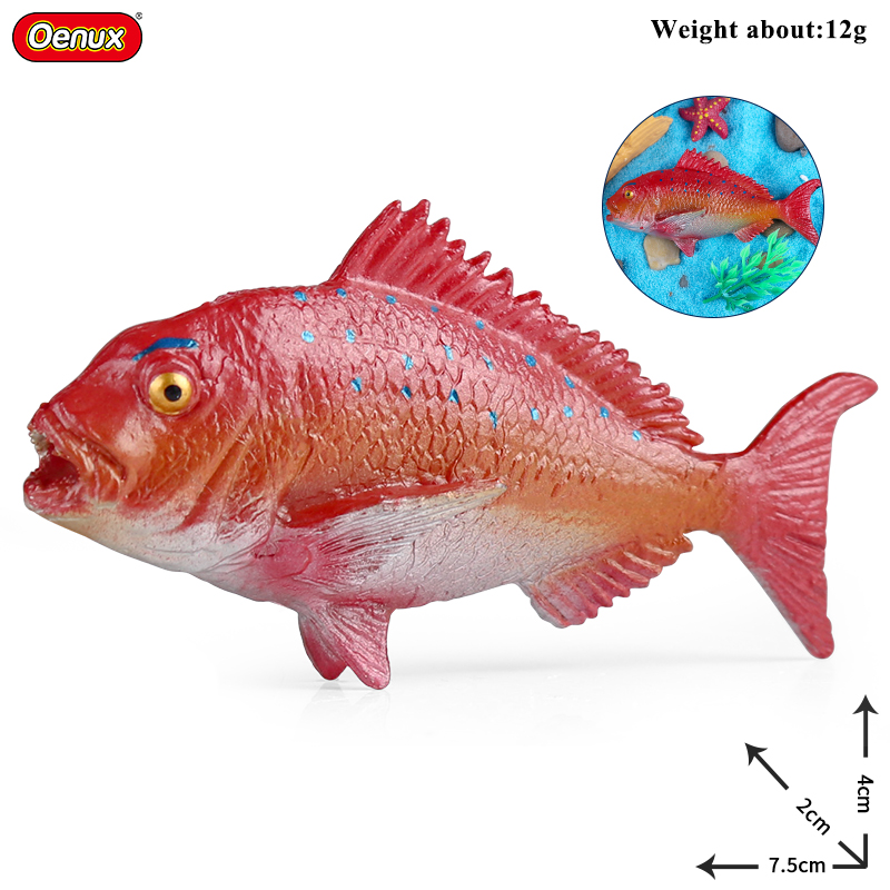 Oenux Sea Life Animals Coral O - Kids Without Education review and price