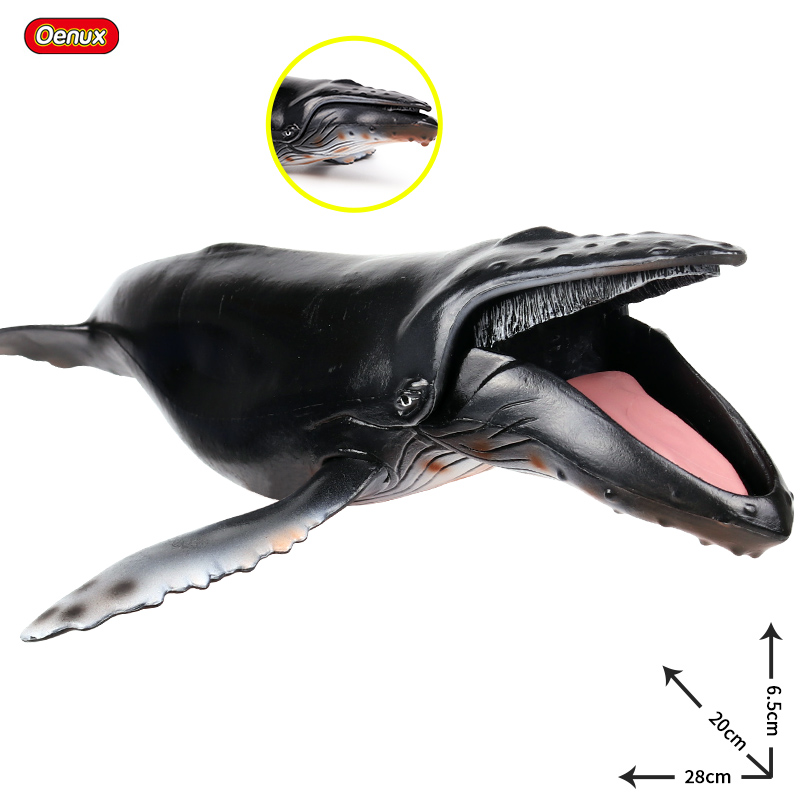 Oenux Sea Life Savage Megalodo - Kids Without Education review and price