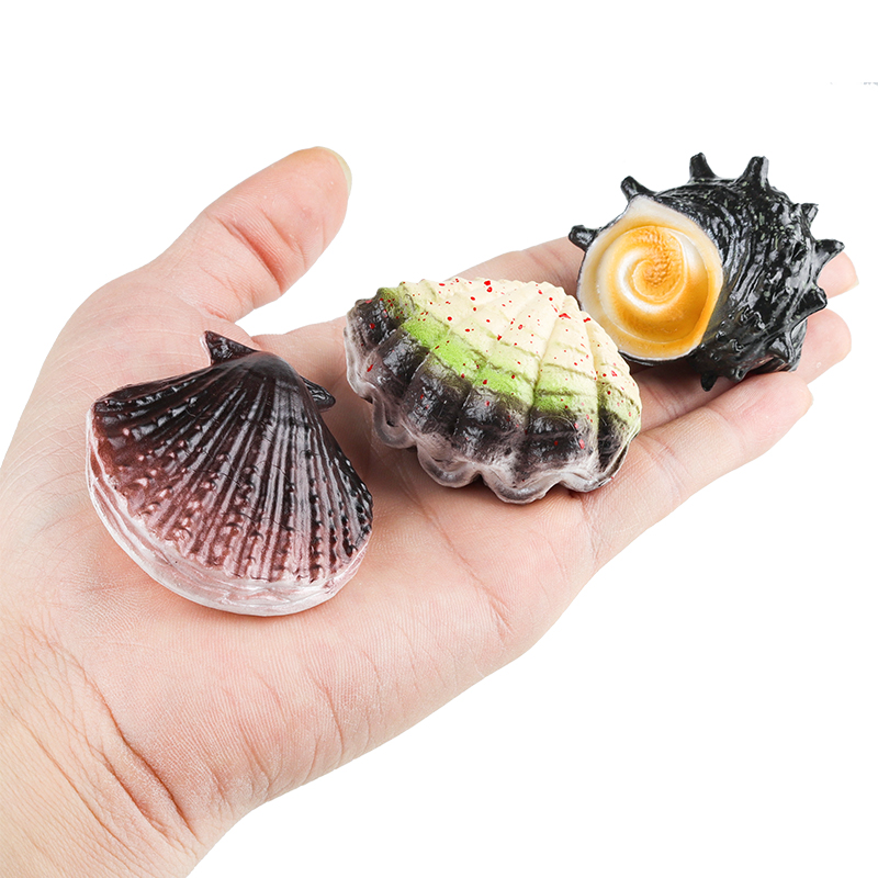 Oenux Ocean Oyste Scallop Star - Kids Without Education review and price