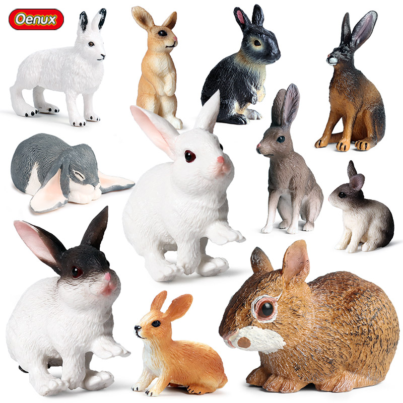 Oenux Lovely Farm Rabbit Bunny - Kids Without Education review and price