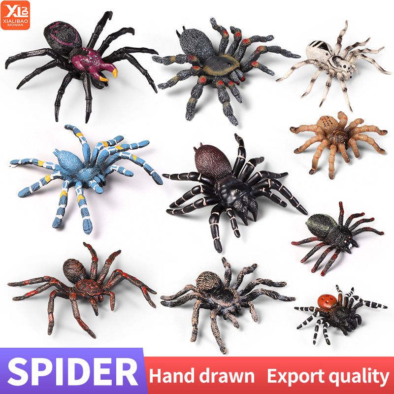Educational Insect Spider Toys - Kids Education Learn Tv review and price