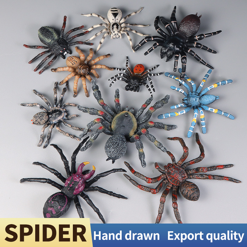 Educational Insect Spider Toys - Kids Education Learn Tv review and price