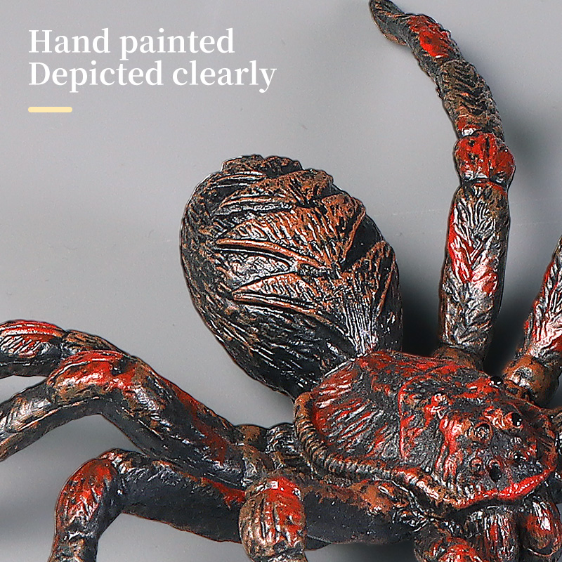 Educational Insect Spider Toys - Kids Education Learn Tv review and price