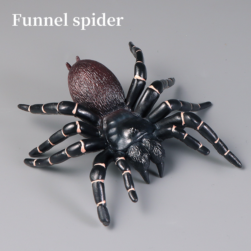 Educational Insect Spider Toys - Kids Education Learn Tv review and price