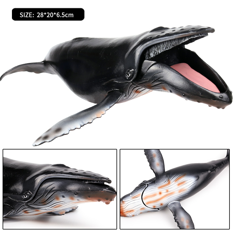 Oenux Ocean Animal Savage Mega - Kids Without Education review and price