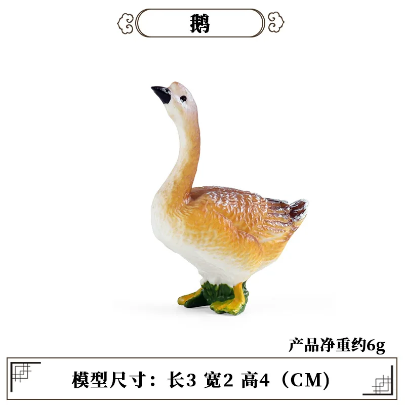 Education Teaching Tool Poultr - Kids Education Tools review and price