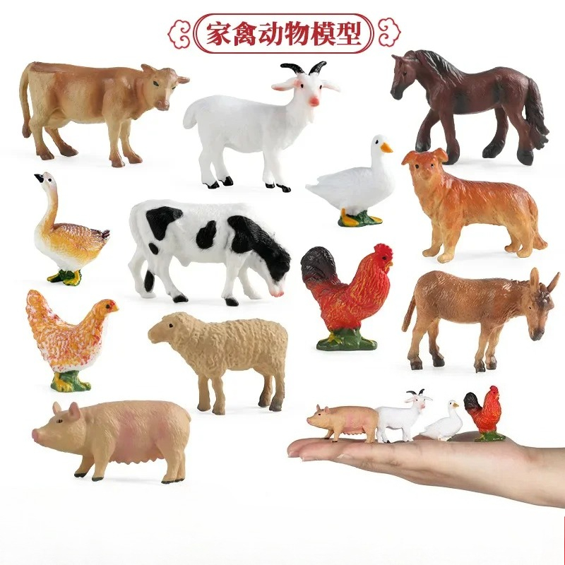 Education Teaching Tool Poultr - Kids Education Tools review and price