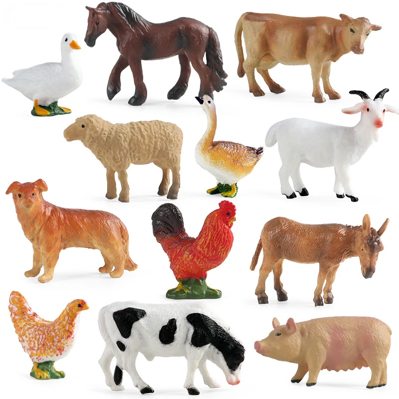 Education Teaching Tool Poultr - Kids Education Tools review and price