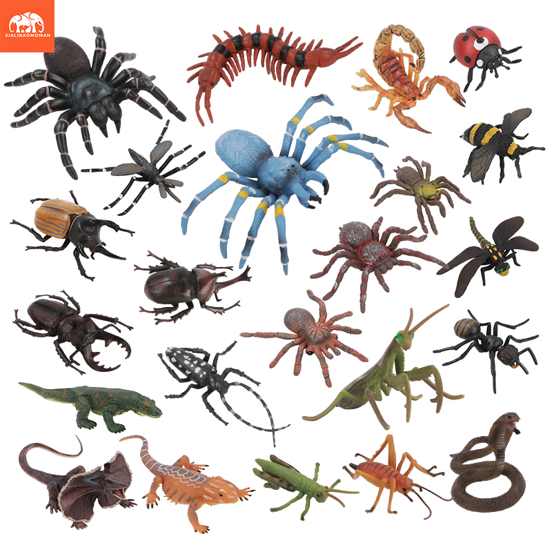 Educational Simulation Insect  - Kids Education Learn Tv review and price