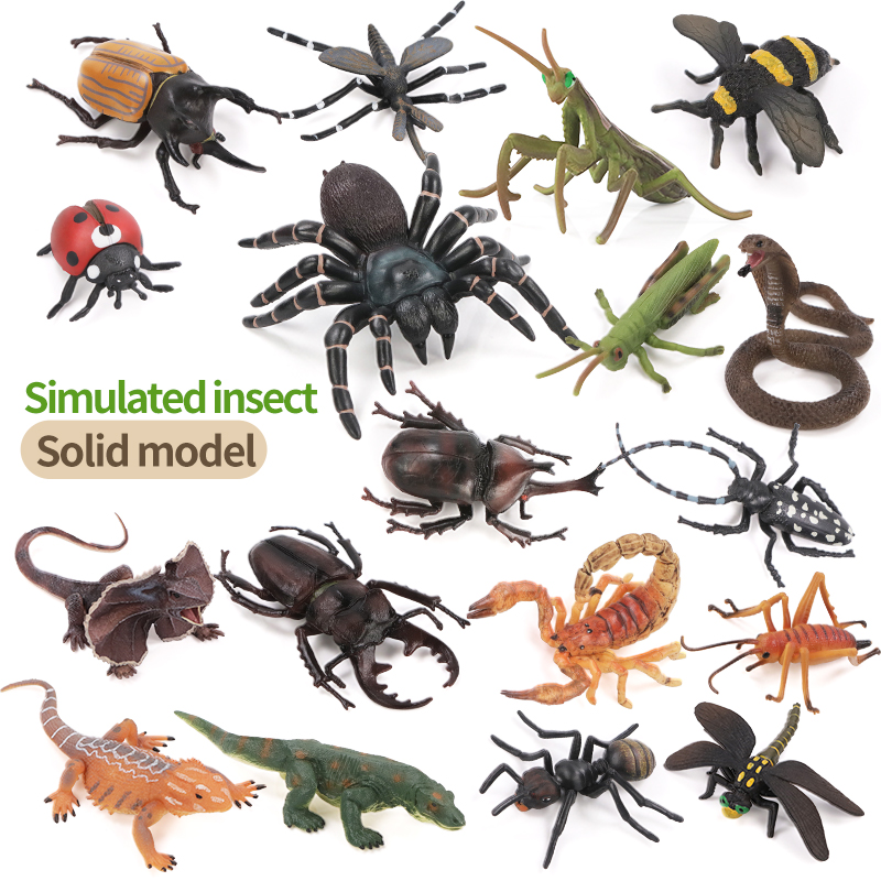 Educational Simulation Insect  - Kids Education Learn Tv review and price