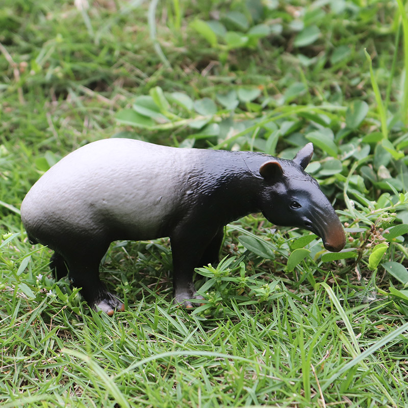 Oenux Wild Boar Tapirus Indicu - Kids Without Education review and price
